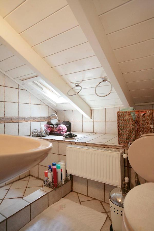 Apartament cozy attic Arachova Zewnętrze zdjęcie