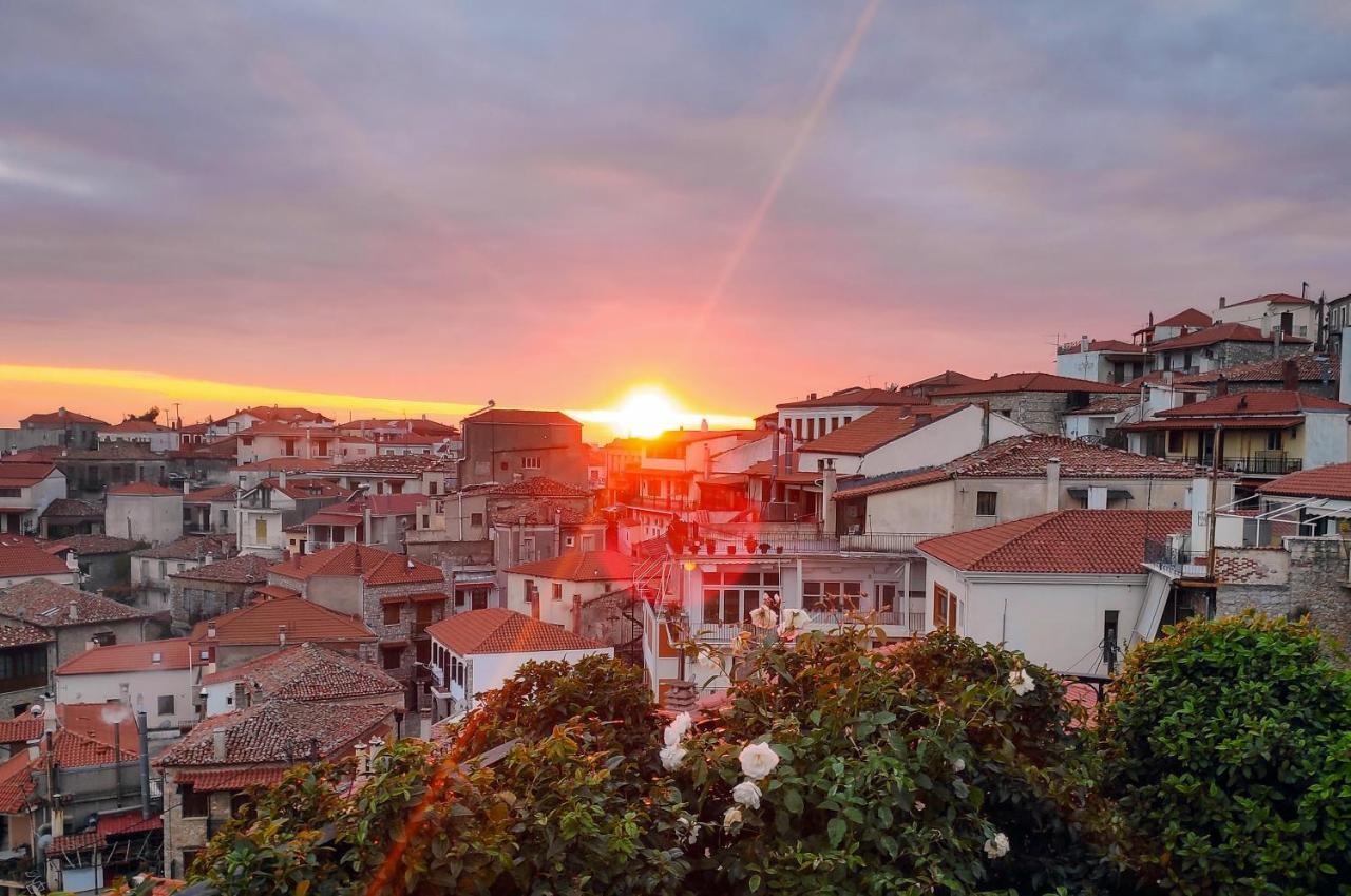 Apartament cozy attic Arachova Zewnętrze zdjęcie
